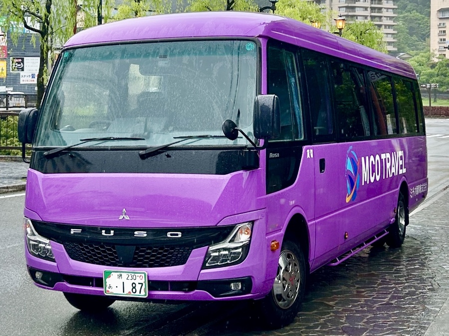 Picture of a mini bus for group transportation